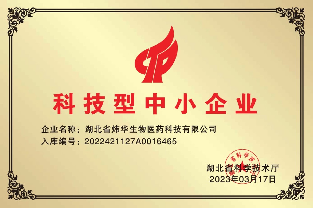 科技型中小企業